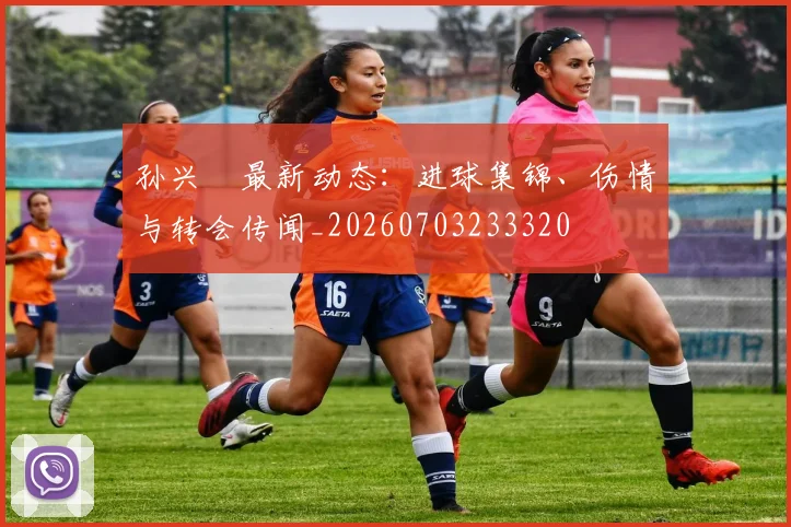 孙兴慜最新动态:进球集锦、伤情与转会传闻_20260703233320
